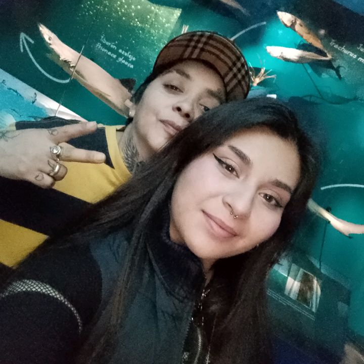 @abii.tm24