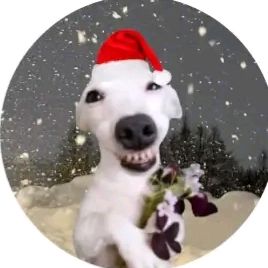 @bela_games6