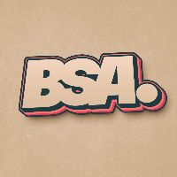 @bsaoutlet1
