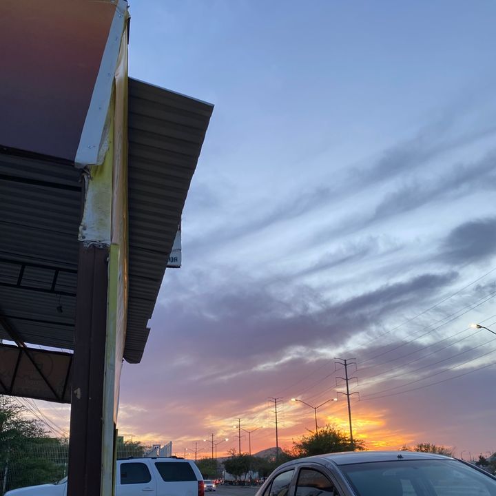 @camilabc2510