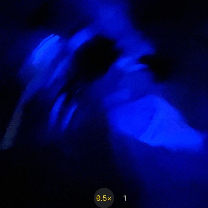 @chloe.jernigan
