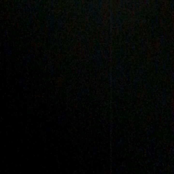 @dansil818