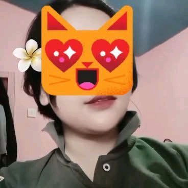 @dedek.kost.mistri
