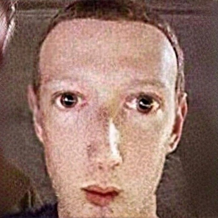 @fooldog4