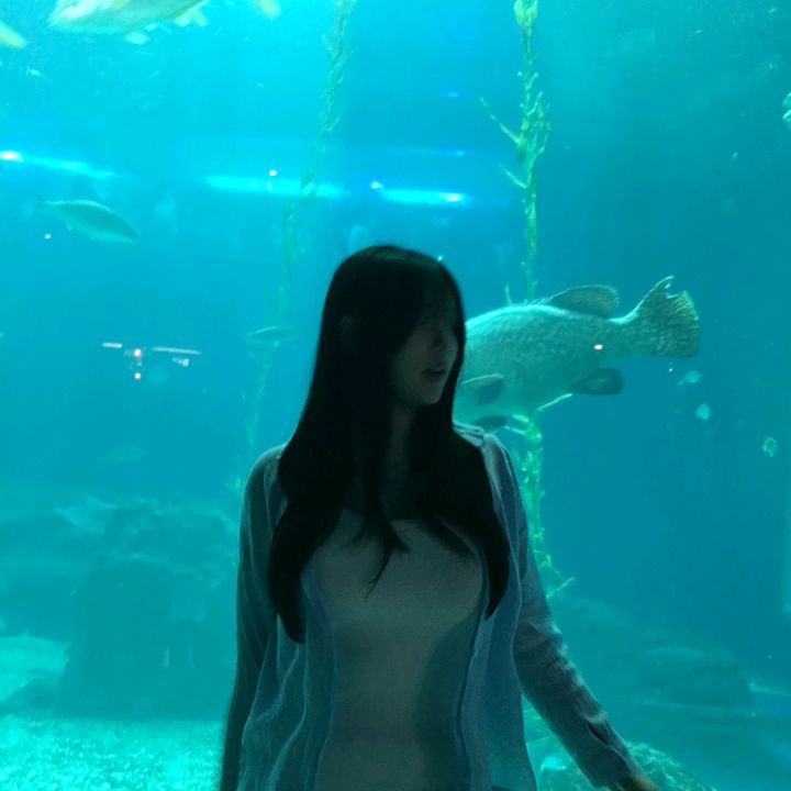 @fullmetalachemist_