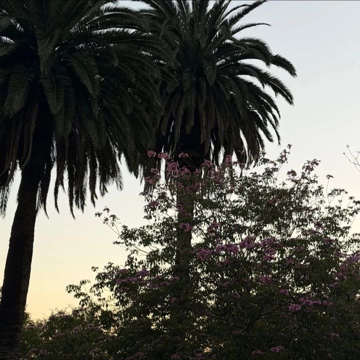 @gatapart1