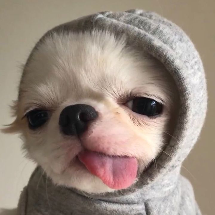 @junviiaolen