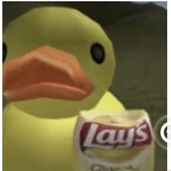 @landonsalgado11