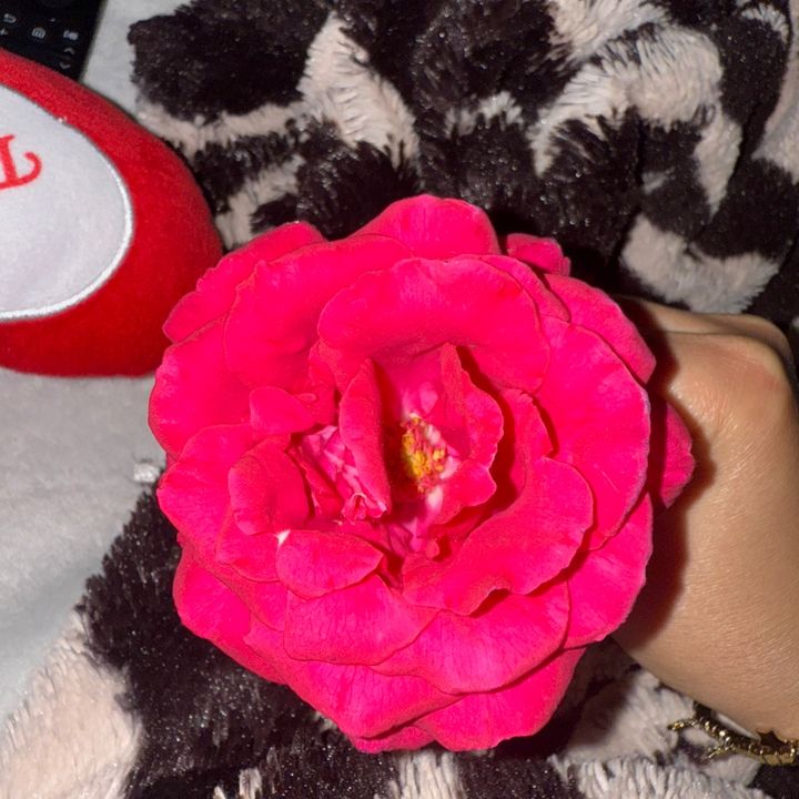 @martina223luna