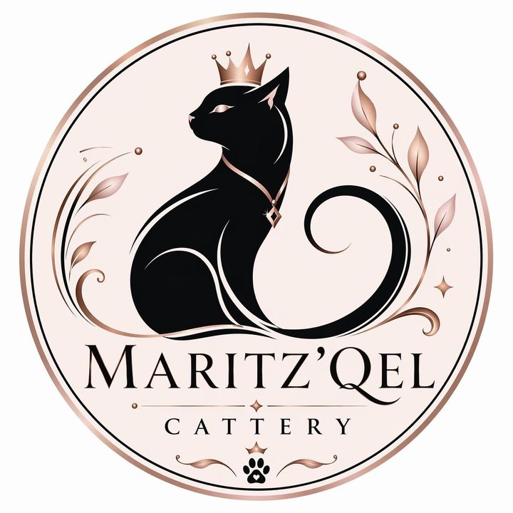 @maryamcattery