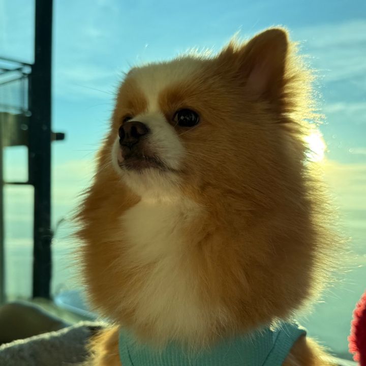 @n.nom19