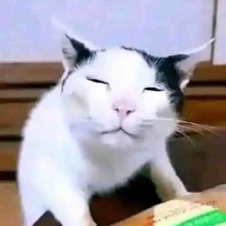 @pppppppppp_168