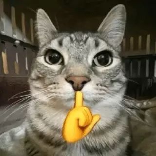 @puputtt0000