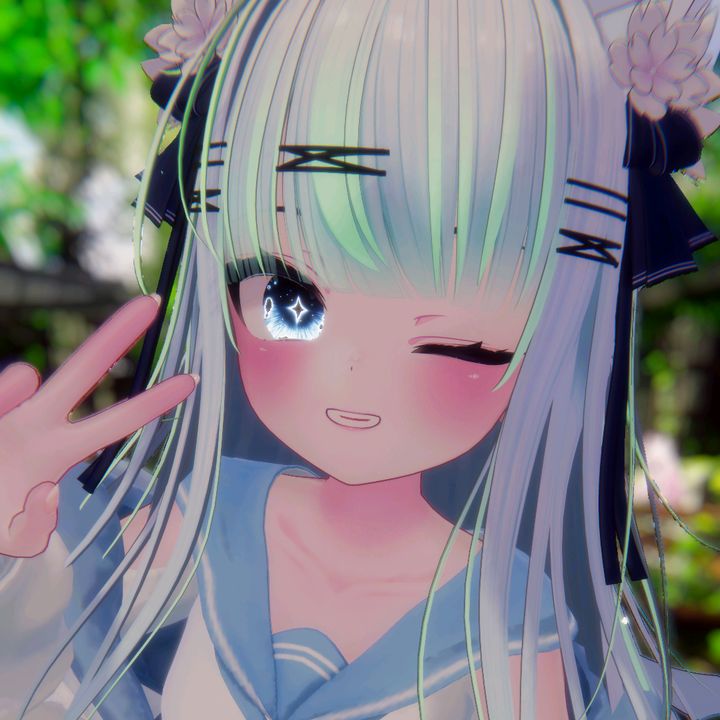 @rishua.vr