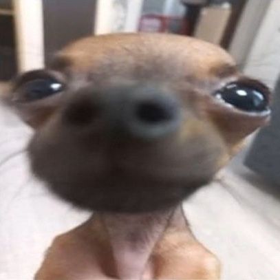 @s0divm