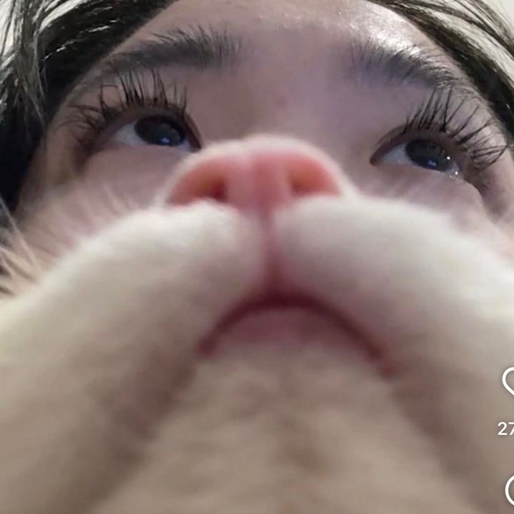 @sryforannoyingyu