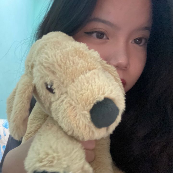 @viwips