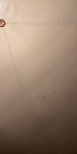 TikTok live: Looking for you by @tyyyyywwww