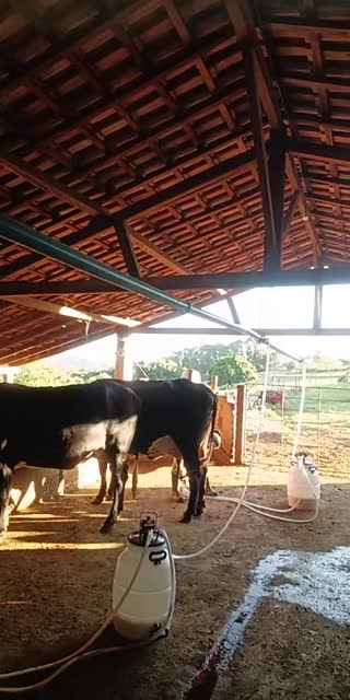 @nandinhacristiny TikTok live from 2026-04-26