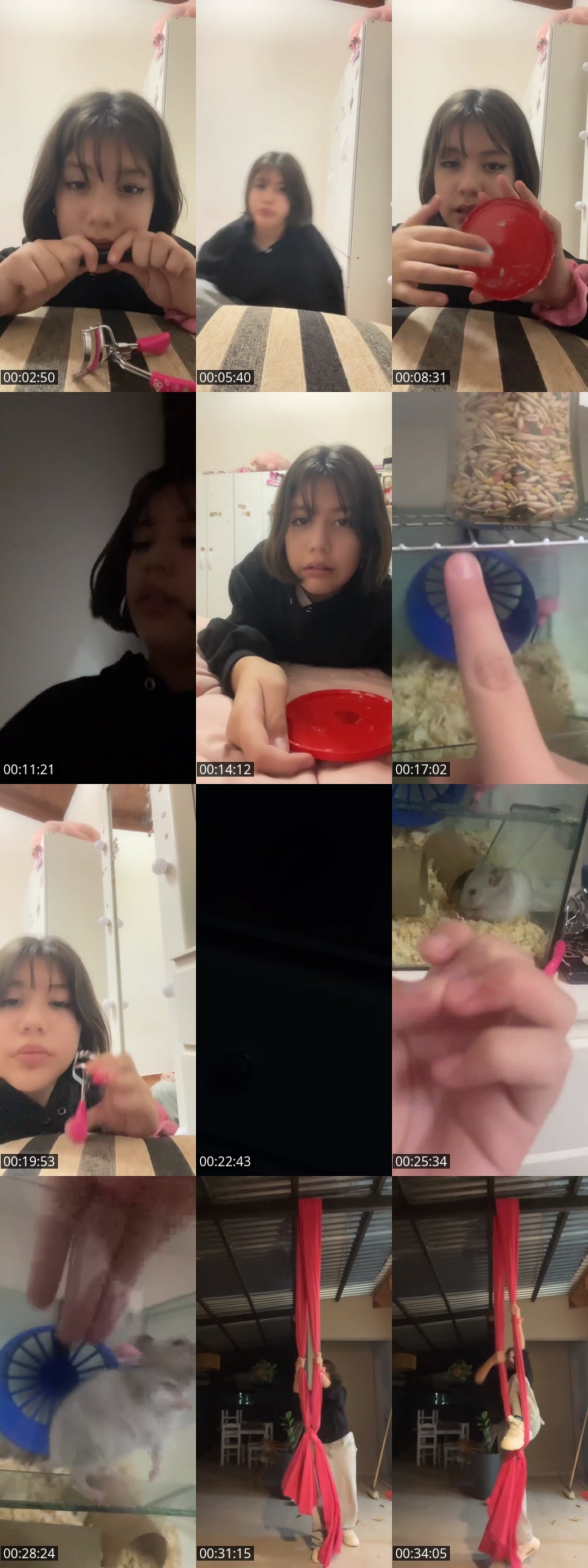 TikTok live: Holii by @chinaaaqwq