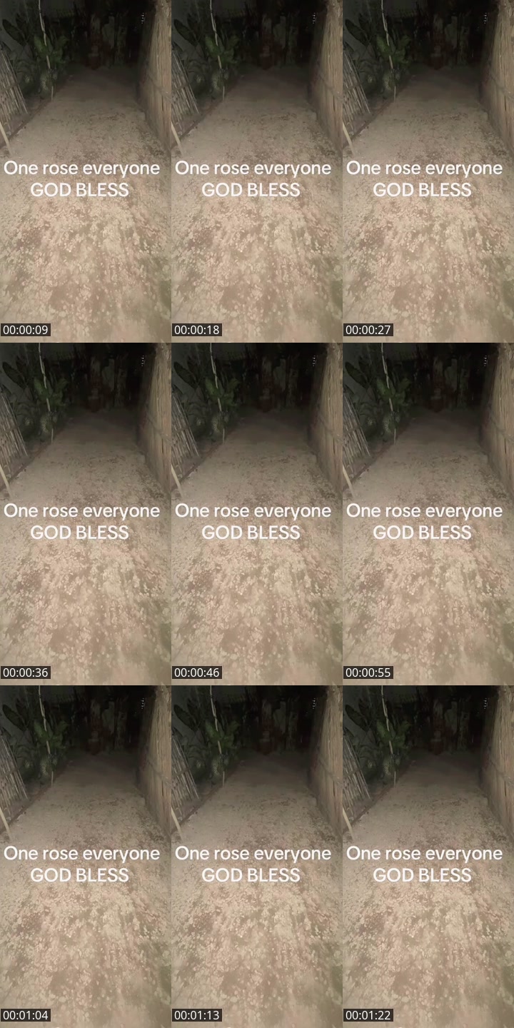 TikTok live: Music only by @uollamegmail