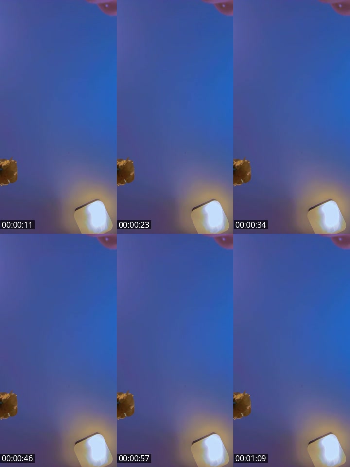 @neidy.fernandez4 TikTok live from 2026-04-29