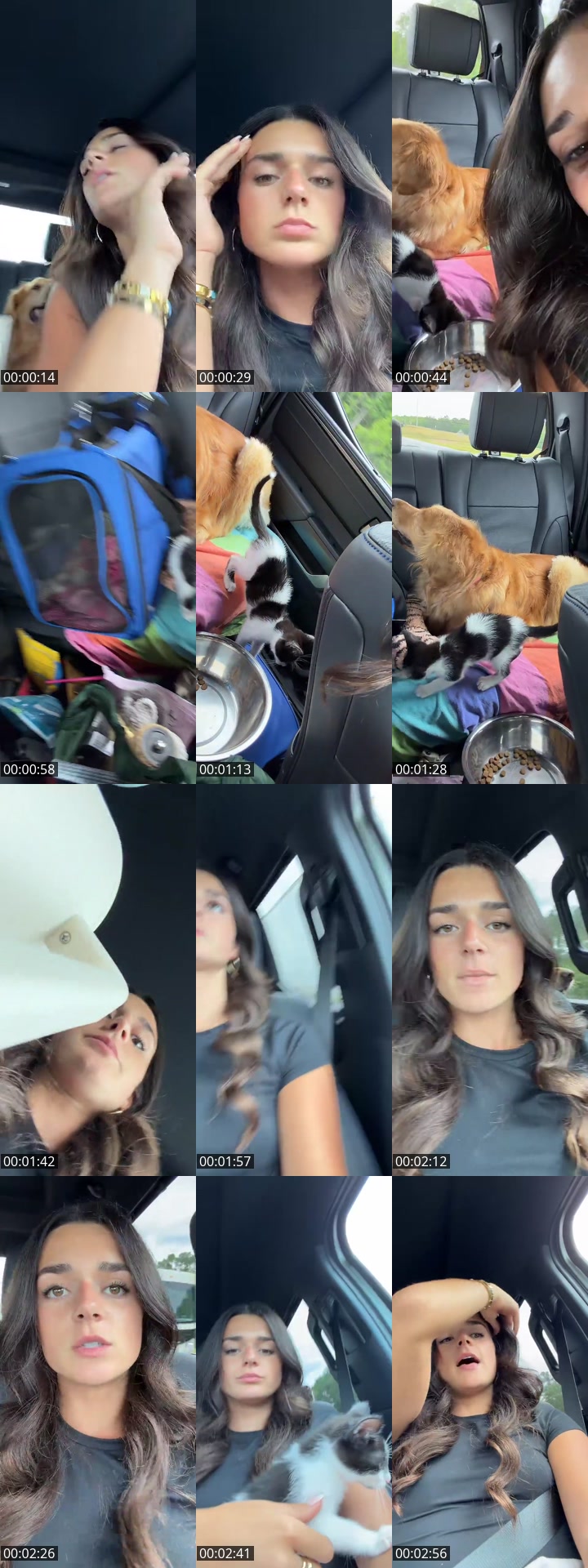 TikTok live: Road trip🐆 by @meganoccorso_