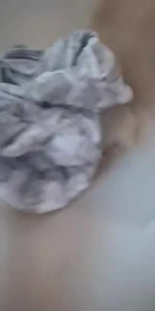 @babygirlforlife250 TikTok live from 2026-05-11
