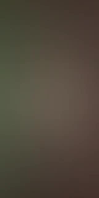 @isabelmontenegro.live TikTok live from 2026-05-11