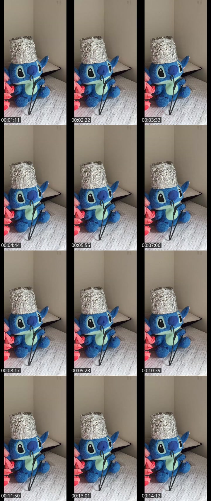 @xiomara.cm3 TikTok live from 2026-05-11