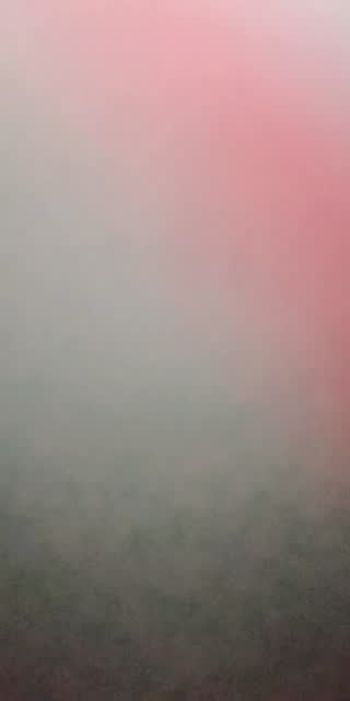 @lleim3 TikTok live from 2026-05-12
