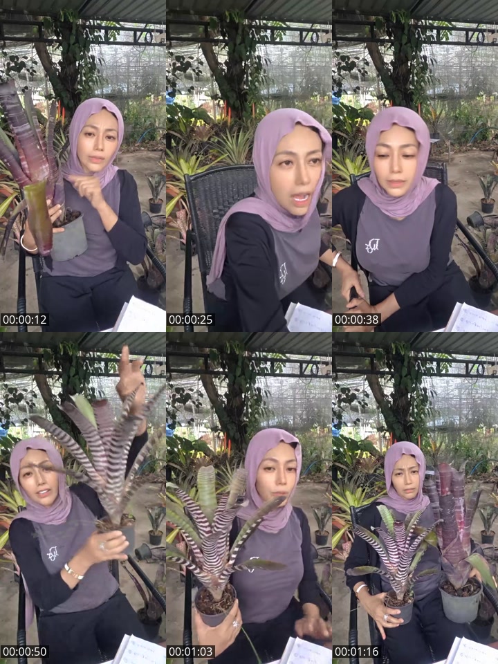 TikTok live: 01 dua 622 666 9 by @lanabakeryland