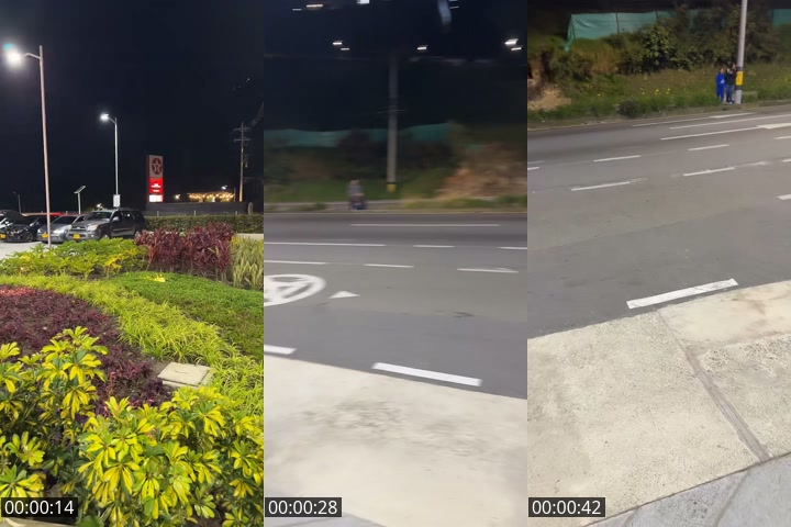 TikTok live: PALMAS 🌴🌴 by @medallo.speed2