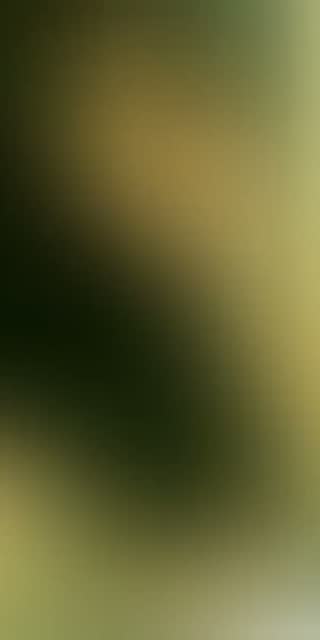 TikTok live: 💋 by @danny.cll