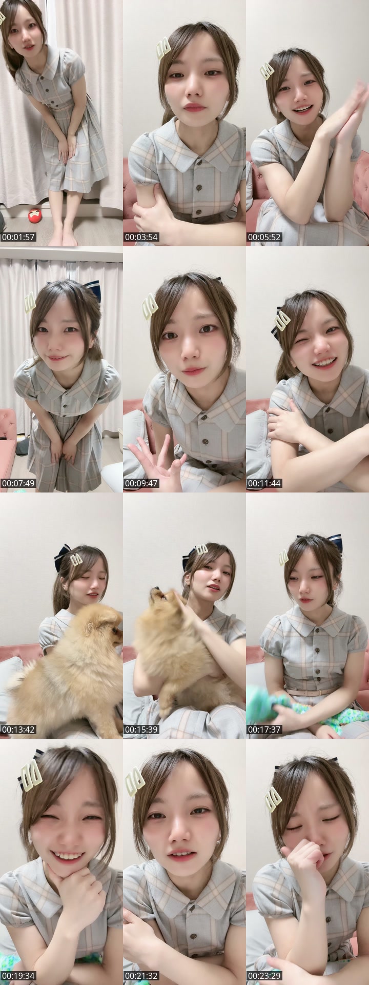 TikTok live: いっぬ！ by @omochi00mochimochi