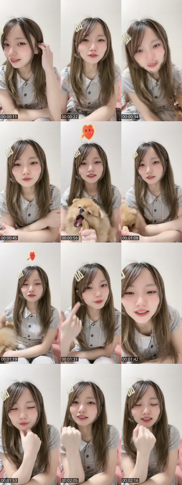 TikTok live: いっぬ！ by @omochi00mochimochi