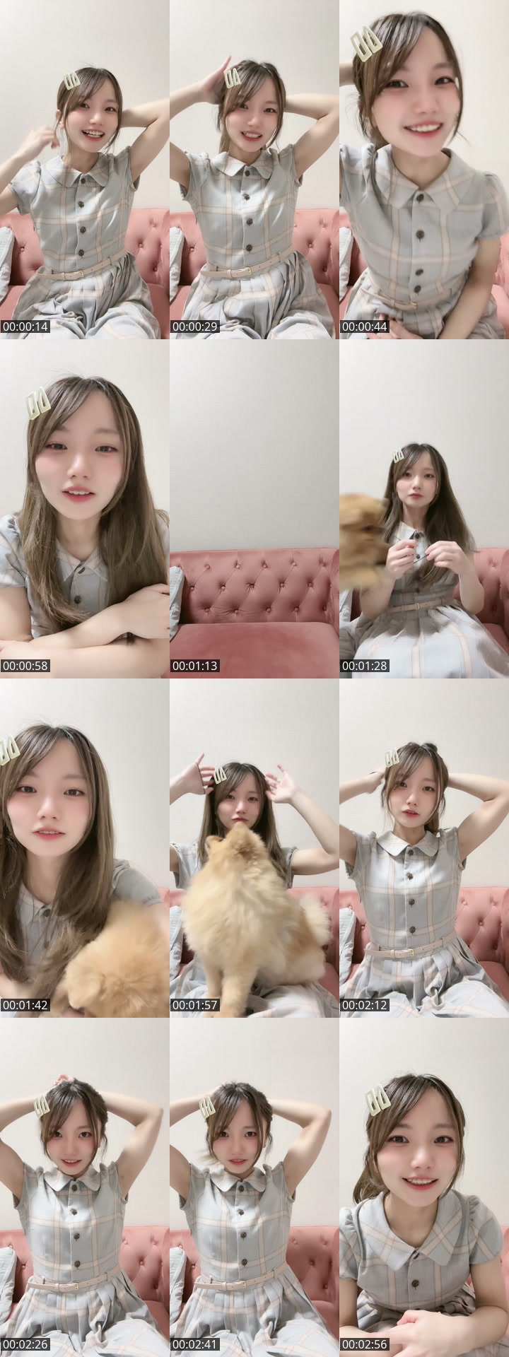 TikTok live: いっぬ！ by @omochi00mochimochi