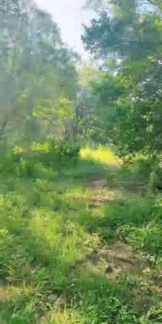 @blisshouseyoga TikTok live from 2026-05-14