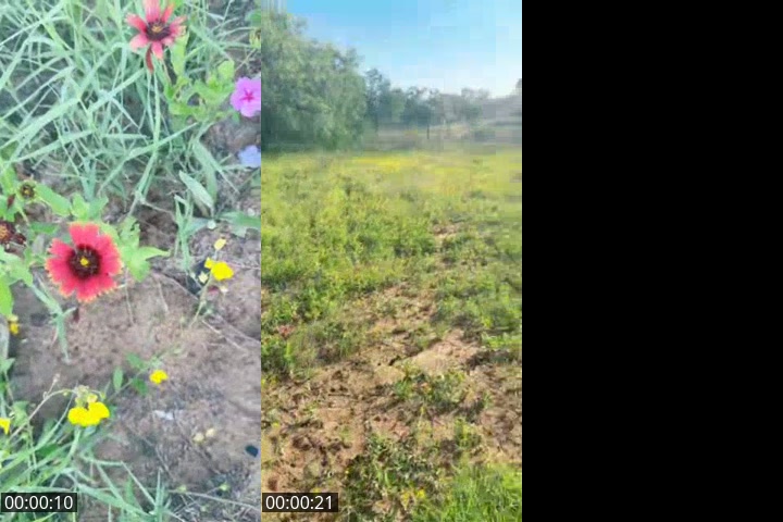 @blisshouseyoga TikTok live from 2026-05-14