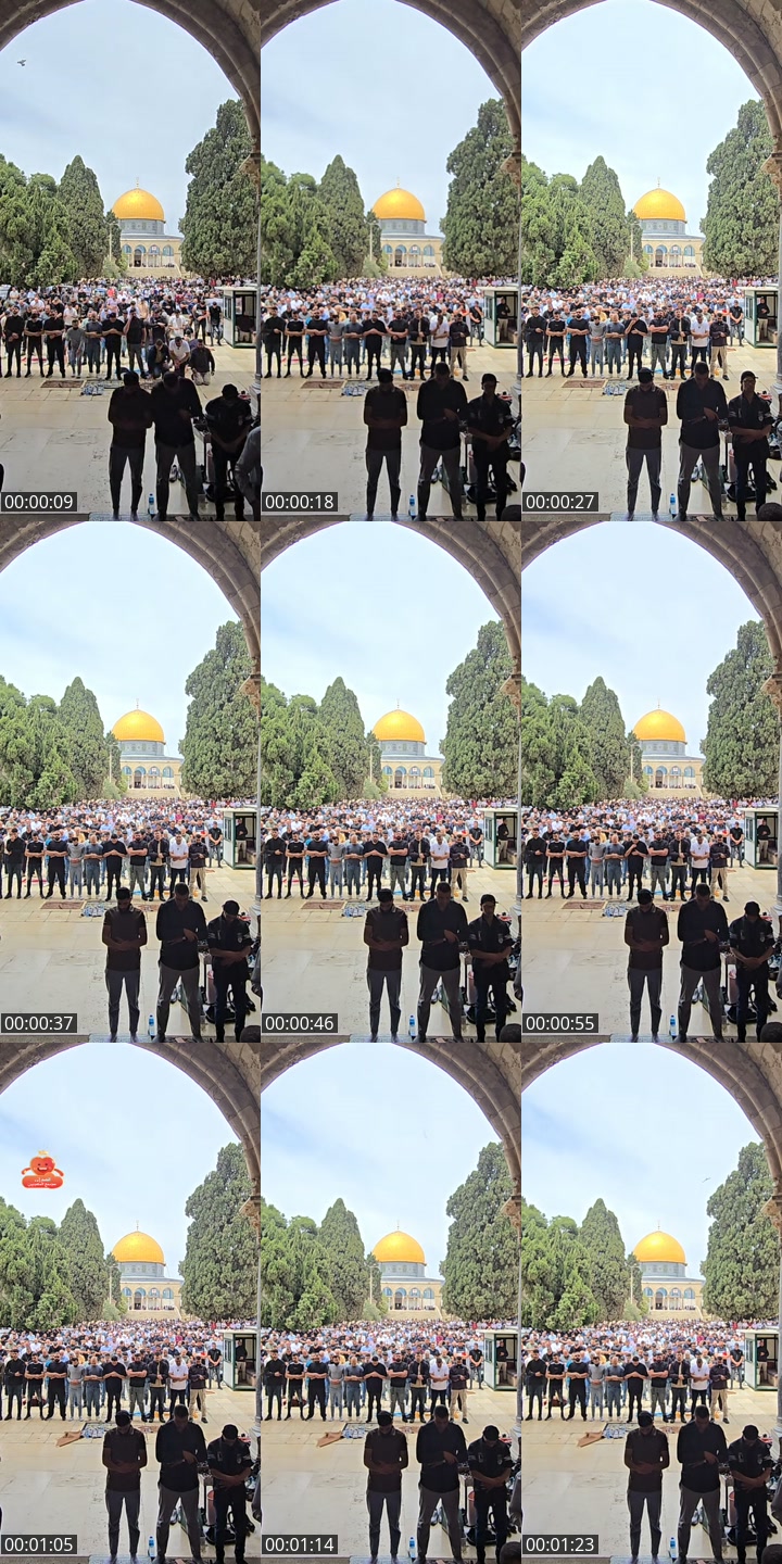 TikTok live: (أولى القبلتين) المسجد الأقصى🕌  by @alzaeim510
