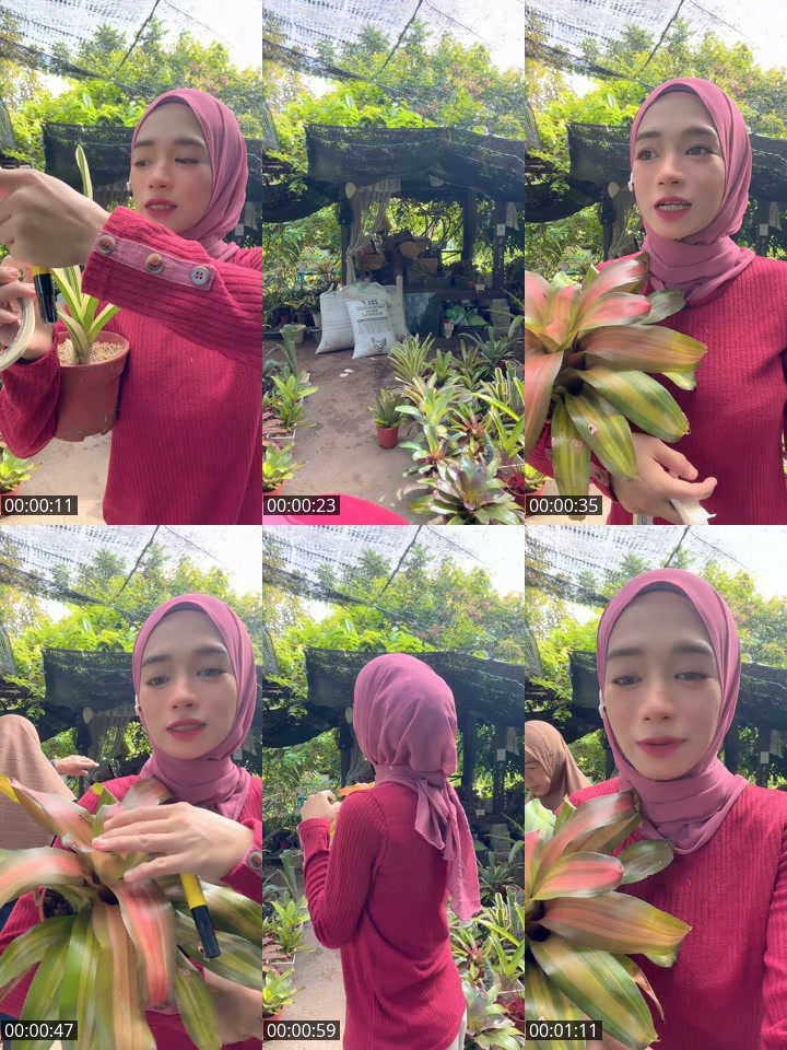 @anna.comel40 TikTok live from 2026-05-15