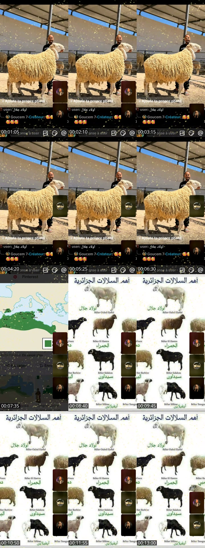 @goucem6 TikTok live from 2026-05-15