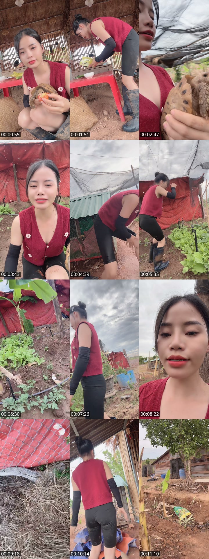 TikTok live: 👩‍🌾 by @nhuylee.2000