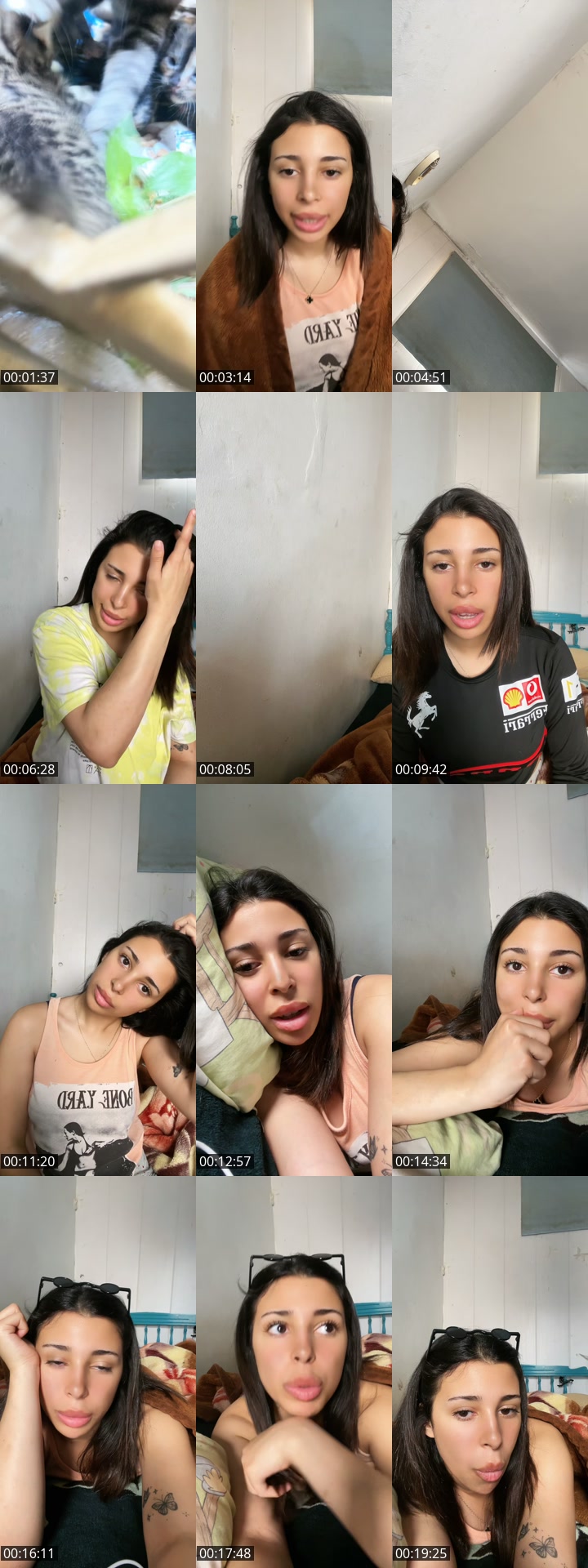 TikTok live: 🦁🦁🐋🐋 by @jiji_hw07