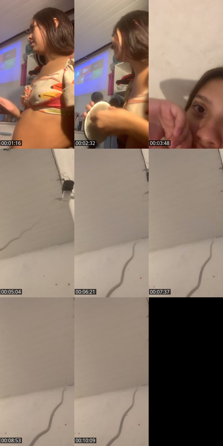 @cfdaisakkk TikTok live from 2026-05-18