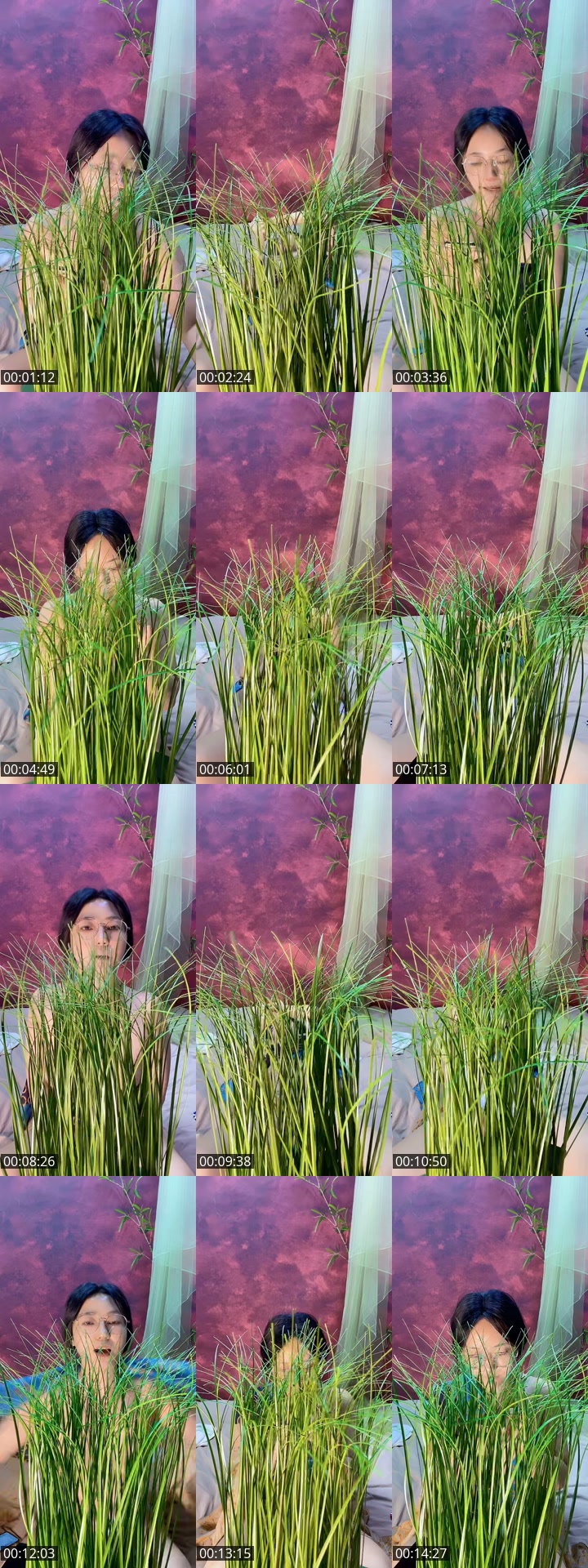 TikTok live: 🕶️Remove the green plants🪴 by @xhwaziqdoj3