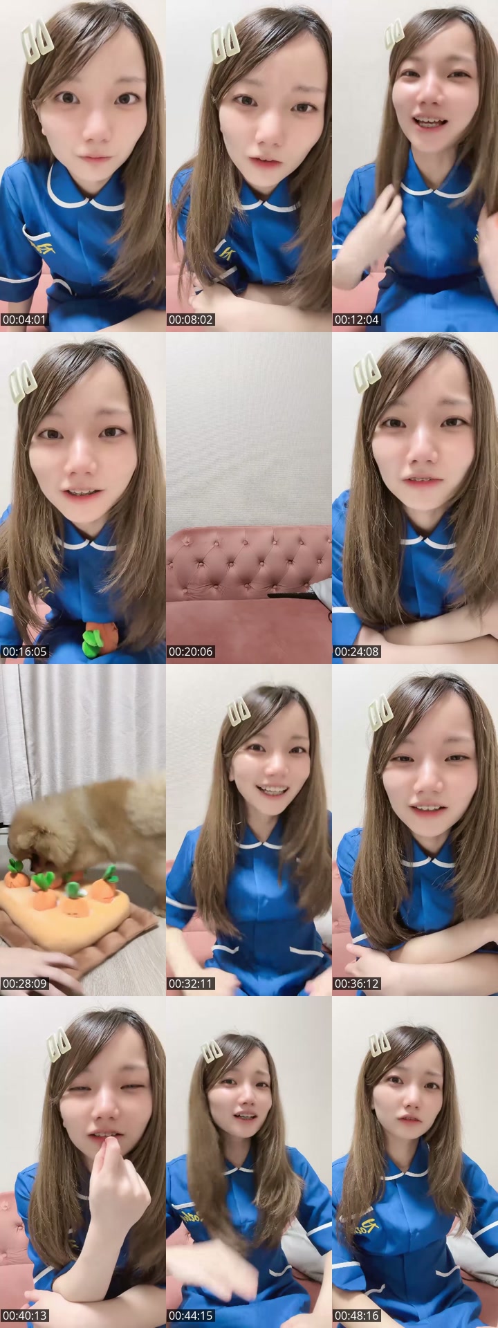 TikTok live: わんわん by @omochi00mochimochi