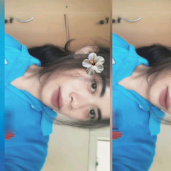 @._dshka