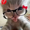 @.nrainul