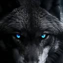 @01tolik77